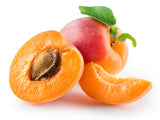 US Organic  Apricot Kernel Oil, 100% Pure Certified USDA Organic, 2 oz / 4 oz