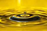 US Organic Sunflower Oil, 100% Pure Certified USDA Organic, 128 oz (1 Gallon)