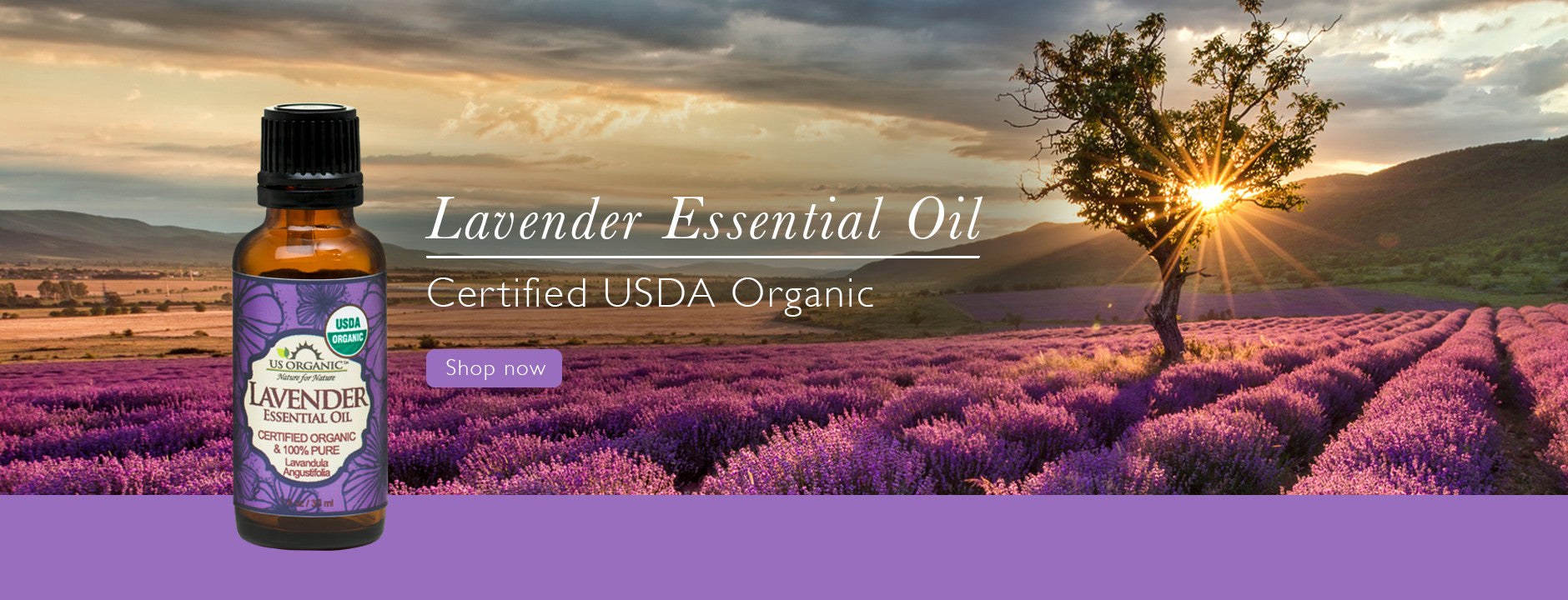Organic Deodorant Spray Lavender USDA Organic